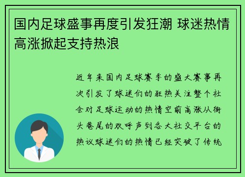 国内足球盛事再度引发狂潮 球迷热情高涨掀起支持热浪