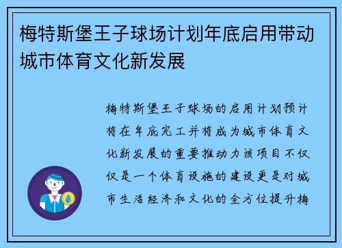 梅特斯堡王子球场计划年底启用带动城市体育文化新发展