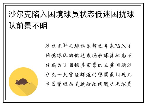 沙尔克陷入困境球员状态低迷困扰球队前景不明
