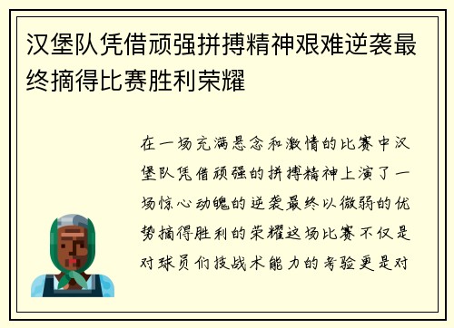 汉堡队凭借顽强拼搏精神艰难逆袭最终摘得比赛胜利荣耀